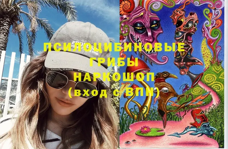 Псилоцибиновые грибы Magic Shrooms  Калтан 